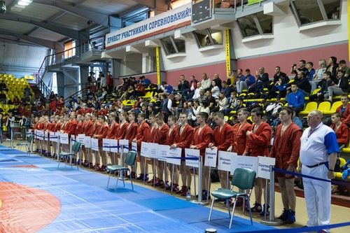 
<p>                                В Саратове завершился турнир, посвящённый памяти вице-президента ВФС С. Р. Ахмерова </p>
<p>                        